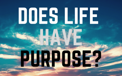 Does Life Have a Purpose?