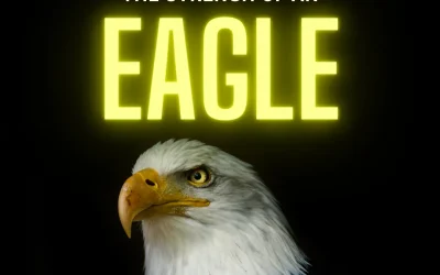 The Strength of an Eagle