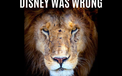Disney Was Wrong